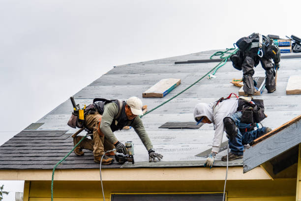 Professional Gutter Installation technician working in Gainesville, VA